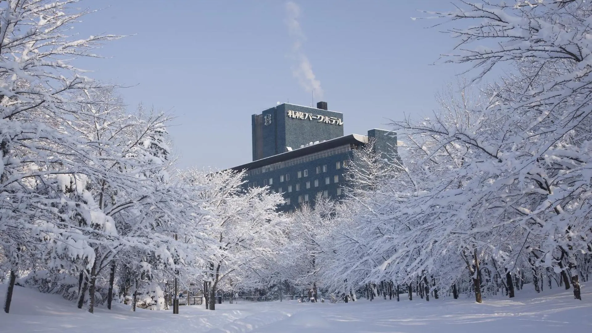 ***** ホテル 札幌パークホテル 日本